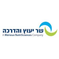 שר ייעוץ והדרכה